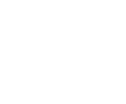 Evolution games at Mega Rush Casino